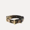 Collier Dog