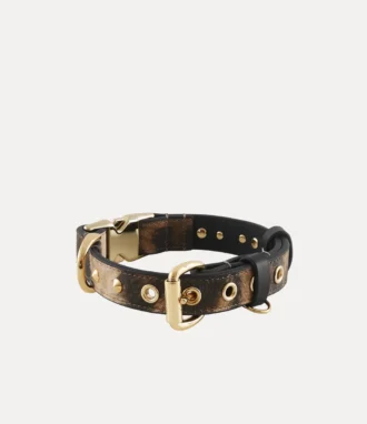 Collier Dog