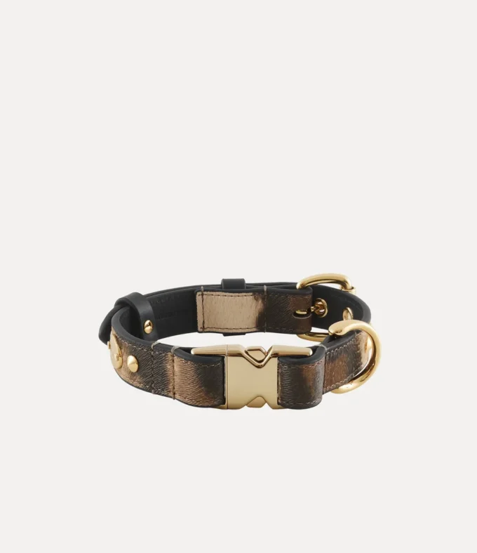 Collier Dog