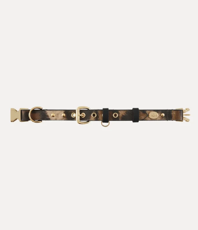 Collier Dog
