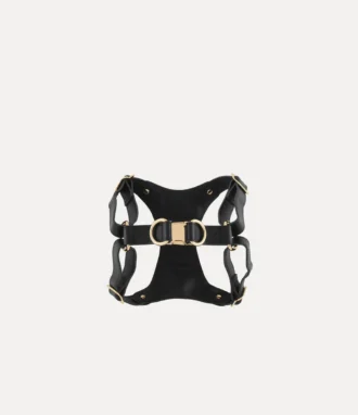 Harnais pour chien